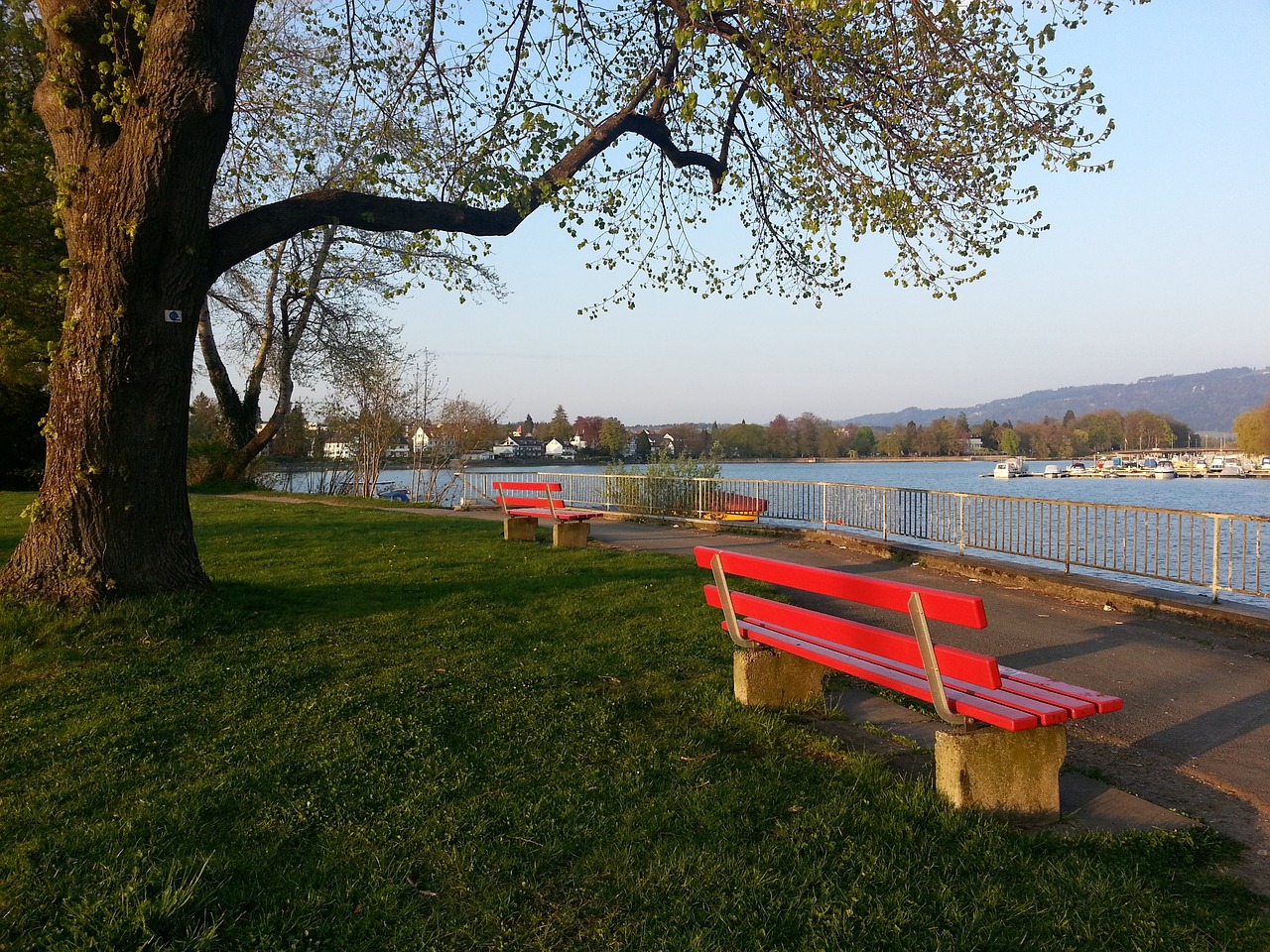 和团队防守 和团队防守