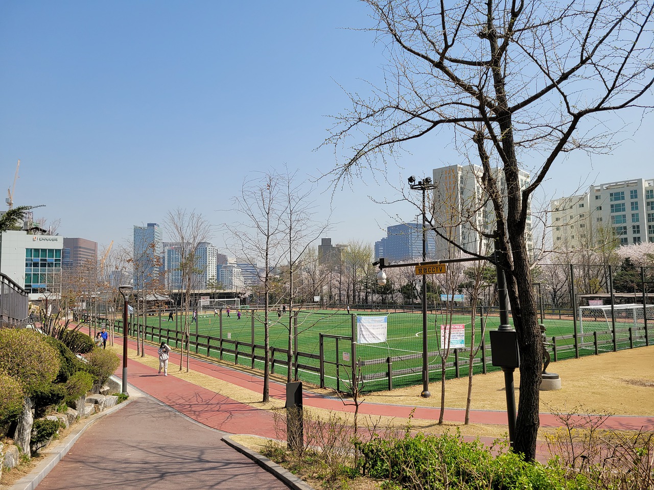 奠定良好的 奠定良好的