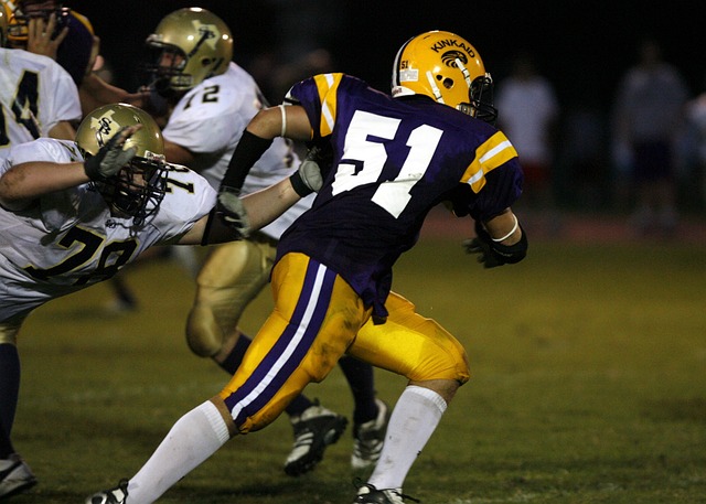 但要想在聖 但要想在聖