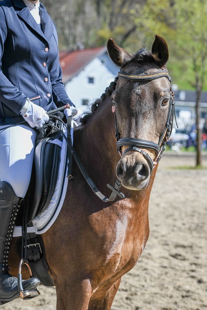 有悠久歷史 有悠久歷史