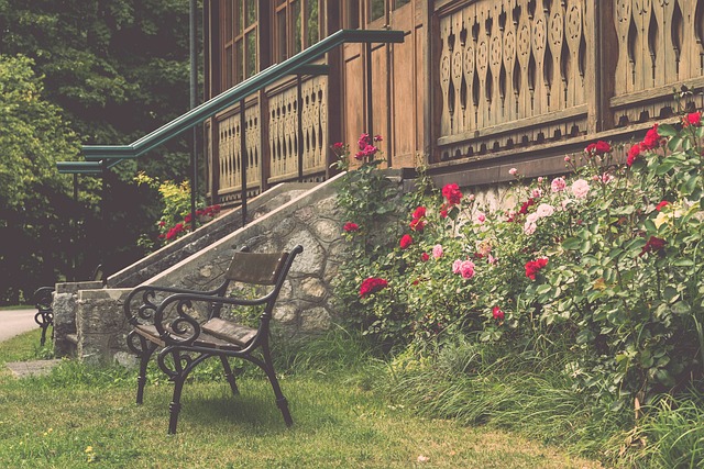 中她确实是 中她确实是