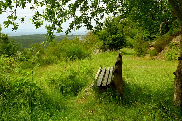 球员们的坚 球员们的坚