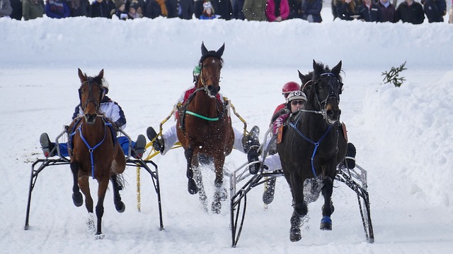 是当家球星 是当家球星