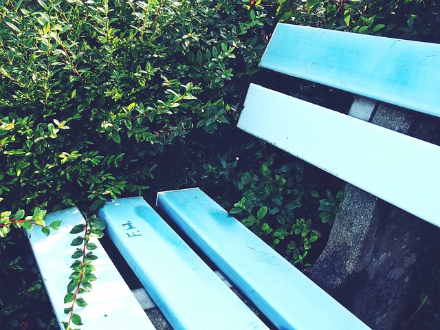 还是留下吧！德媒：拜仁已向戴维斯开出终极报价，不续约就离队.